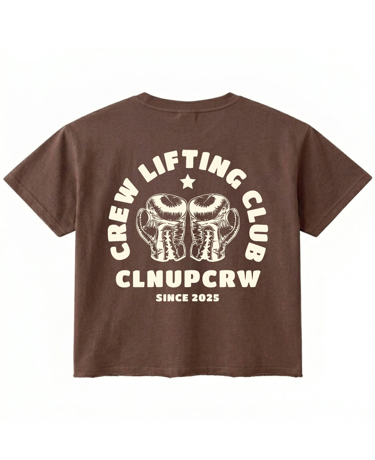 Brown Boxy Fit T-shirt Back Design